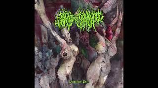 SEED OF THE SORCERER, WOMB OF THE WITCH - Perversion Pyre [FULL ALBUM] 2024