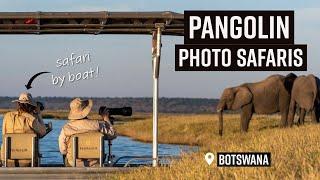 Up-Close with Botswana's Wildlife: A Week with Pangolin Photo Safaris