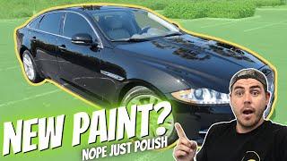 Paint Polishing for Beginners - How to make your car look new! Car Detailing Tips and Tricks