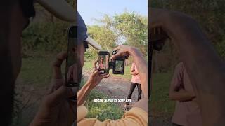 iphone 16 pro vs sony a7iv camrea 