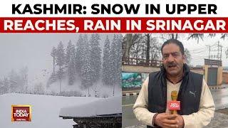 Fresh Snowfall In Kashmir's Upper Reaches, Rain In Srinagar As Weather Changes | Reporter Diary