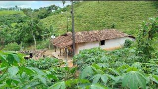 Nossa vida na roça é assim. uma maravilha