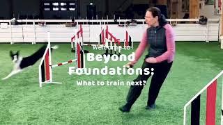 OneMind Dogs - Beyond Agility Foundations: What to train next