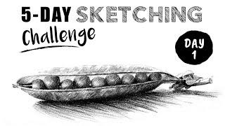 Pencil Sketching 5 DAY Challenge - Lesson 1