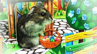 Hamster  Mario  is looking for Easter Eggs in the secret room.