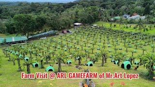 Farm Visit @ ARL GAMEFARM of Mr.Art Lopez (Bacolod Silay)