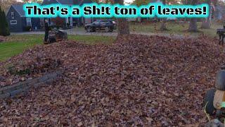 How many Leaves can you stack