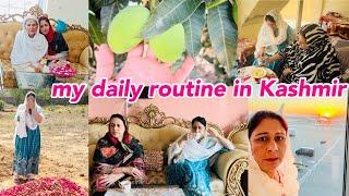 Kashmir Mom Daily Routine In Pakistan | going to my mom’s house