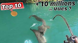 Top 10 Most Viewed Fishing Videos in France!