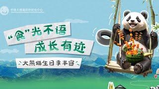 打卡中国大熊猫保护研究中心都江堰基地 了解国宝的“家装方案”