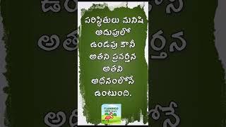 swami vivekananda quotes |The Most Inspiring Quotes |Flamingo Kids Telugu|