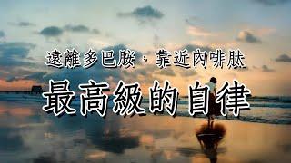 《欲罷不能》：最高級的自律是遠離多巴胺，靠近內啡肽。