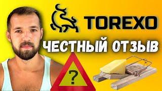 Torexo обзор и честный отзыв! | Новый хайп 2021