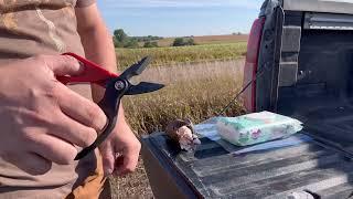 2024 Nebraska Dove Hunt