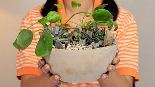 Let’s Make a Concrete Planter in Plastic Bowls for Succulent Forest | Under $15 Crafts