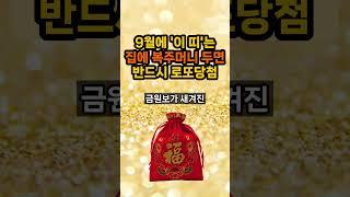 이 띠는 집에 복주머니 두면 반드시 로또에 당첨됩니다 #띠별운세 #복주머니