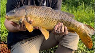 Carp Fishing Method Feeder