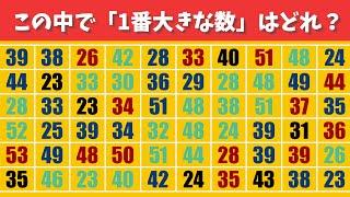 【大小の数字探し】瞬時に見つけ出せ！#1【脳トレ|集中力|記憶力|認知症予防|老化防止|集中力|観察力】