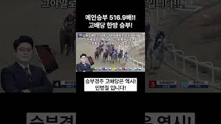 #516.9배 고배당을 한방으로?