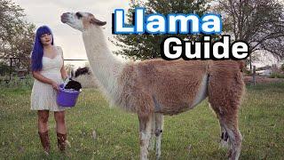 Llama Care + Farm Guard Guide