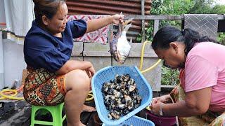 Masak Lauk Hasil Hutan Dan Sungai // Biarpun Biasa Saja Tapi Banyak Khasiat…//