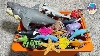 GIANT BOX OF 100 SEA ANIMALS - Shark Whale Octopus Dolphin StarFish