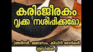 കരിഞ്ചീരകം കഴിക്കുമ്പോൾ ഉള്ള ഏറ്റവും വലിയ പ്രശ്നം