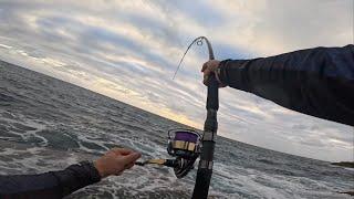 Catching The Fish of a Lifetime! | Shore Casting & Shore Jigging | Rock Fishing NSW, Australia