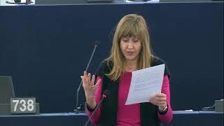 María Teresa Giménez Barbat 28 Mar 2019 plenary speech on 'Erasmus'