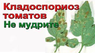 Кладоспориоз томатов. Не мудрите.