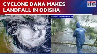 Cyclone Dana Horror: Trees Uprooted, Walls Collapse As Cyclone Makes Landfall In Odisha