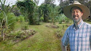 2-Year-Old Food Forest Tour - Already Doing Great!