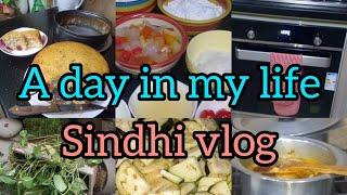 A day in my life /my daily routine 🫕🪴/sindhi vlog 