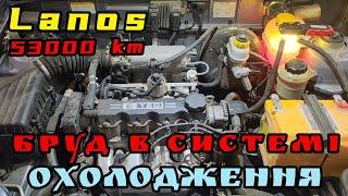 Daewoo Lanos // пробіг 53000, а система охолодження має бруд. Пічка не дає тепло.