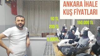 ANKARA ERCAN ABİNİN GÜVERCİN İHALESİ VE SUNUMU