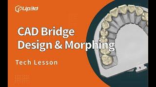 Bridge Design & Morphing「UP3D Tech Lesson」