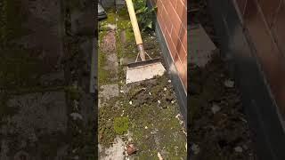 unique tools for cleaning moss and plants that stick to the road #shorts
