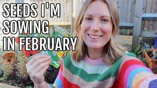 SEEDS I'M SOWING IN FEBRUARY 2024 / ALLOTMENT GARDENING FOR BEGINNERS