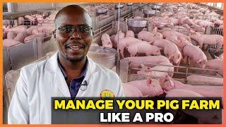 How to Start and Grow Your Pig Farm || Pig Management Practices