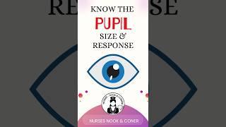 Time to know the pupils size and response #shortsvideo #medico #nurses #nhs #studentnurse