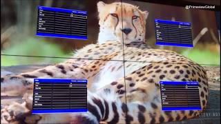 Introducing HDR Embedded Video Walls