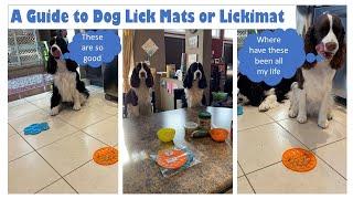 A Guide to Dog Lick Mats or Lickimat | Plus Recipes and ESS Dog Ear Cleaning with a Lick Mat