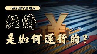 經濟學基礎，經濟如何運行？政府如何幹預市場經濟？