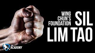 Wing Chun's Foundation: Sil Lim Tao