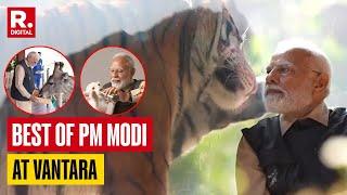 PM Modi At Vantara: Top Moments Of PM's Close Encounter With Wildlife