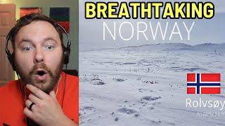 Canadian Reacts to The Incredible Wildlife of Northern Norway