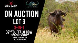 TAM Game Breeders | Signature Wildlife | Lot 9