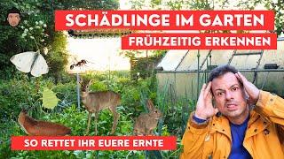 Schädlinge im Garten - Schnecken, Ameisen, Raupen, Blattläuse uvm. Frühzeitig erkennen und bekämpfen