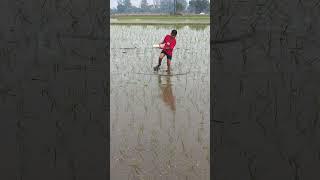 #punjabisong #Atwal#farming #highlights viralshort#punjab