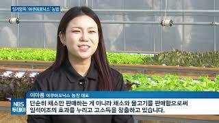 물고기와 농작물의 공생…‘아쿠아포닉스 농업’ 주목